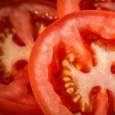 כל מה שצריך לדעת על עגבניות